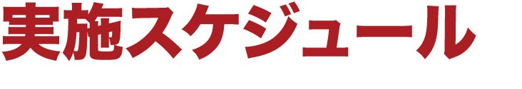 実施スケジュール