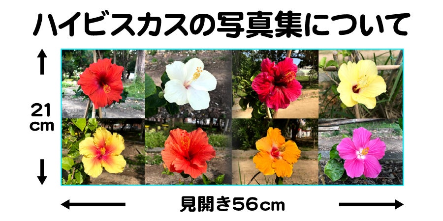 ハイビスカスの写真集についての説明画像!見開き56cmのワイドな写真集!