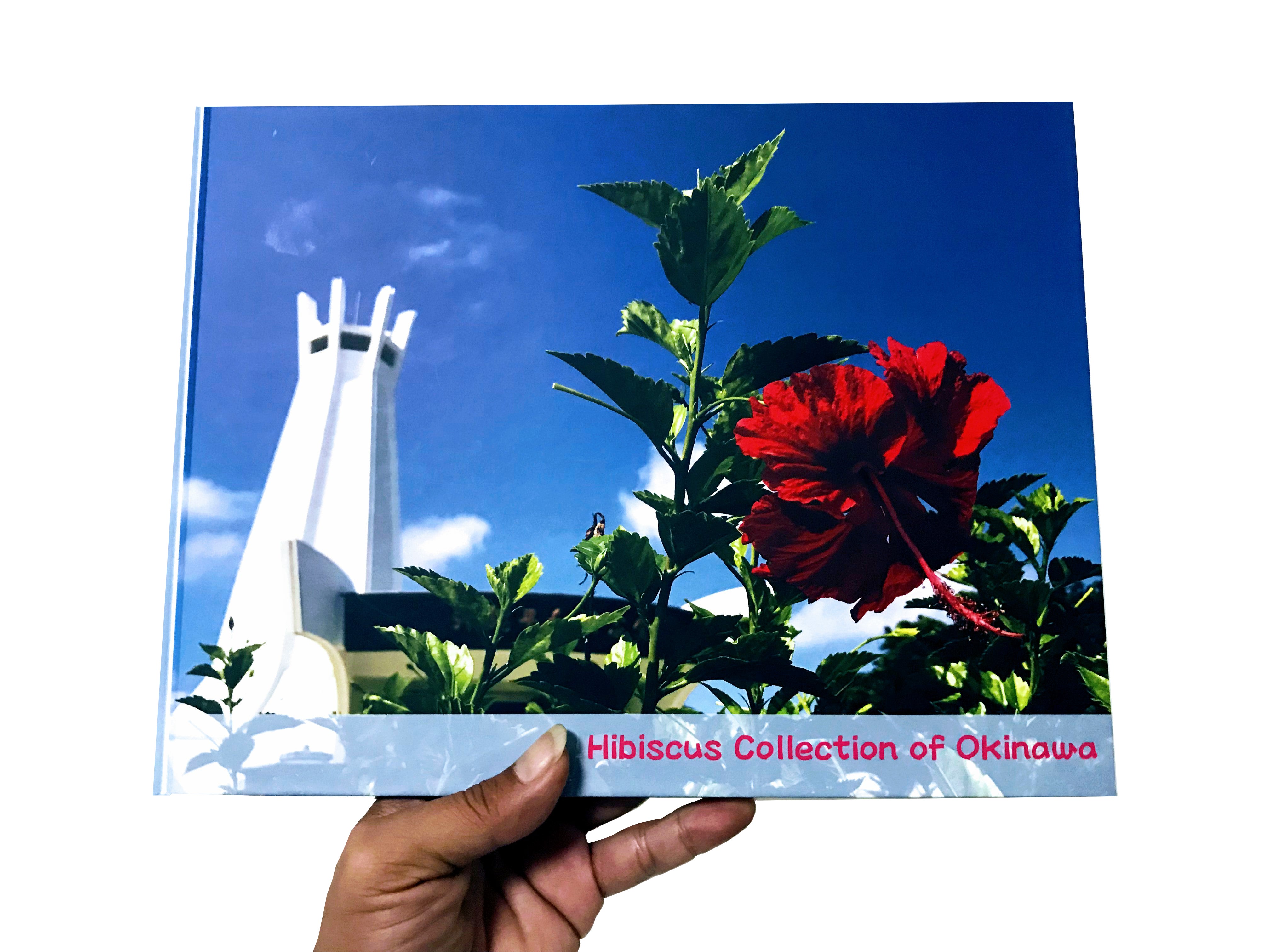 ハイビスカスの写真集32ページの実物画像