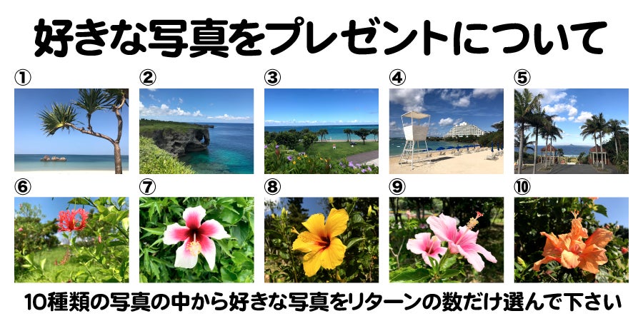 好きな写真をプレゼントについて、10種類の写真の中から好きな写真をリターンの数だけ選んで下さい。
