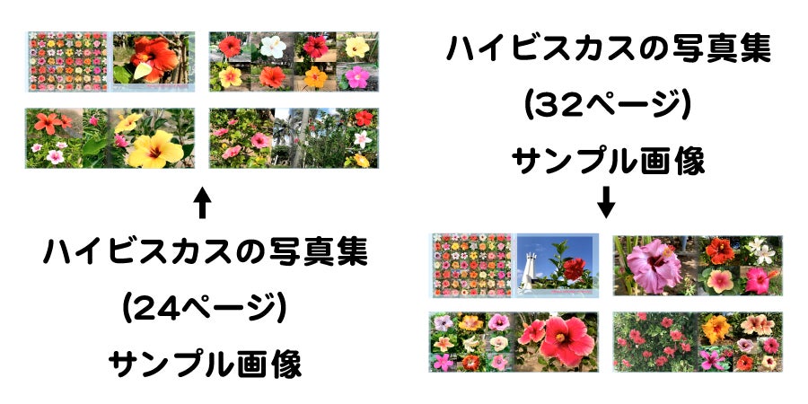 ハイビスカスの写真集のサンプル画像