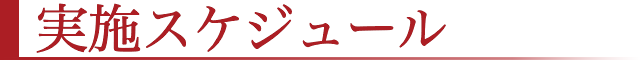 実施スケジュール