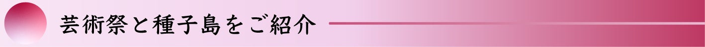 芸術祭と種子島をご紹介