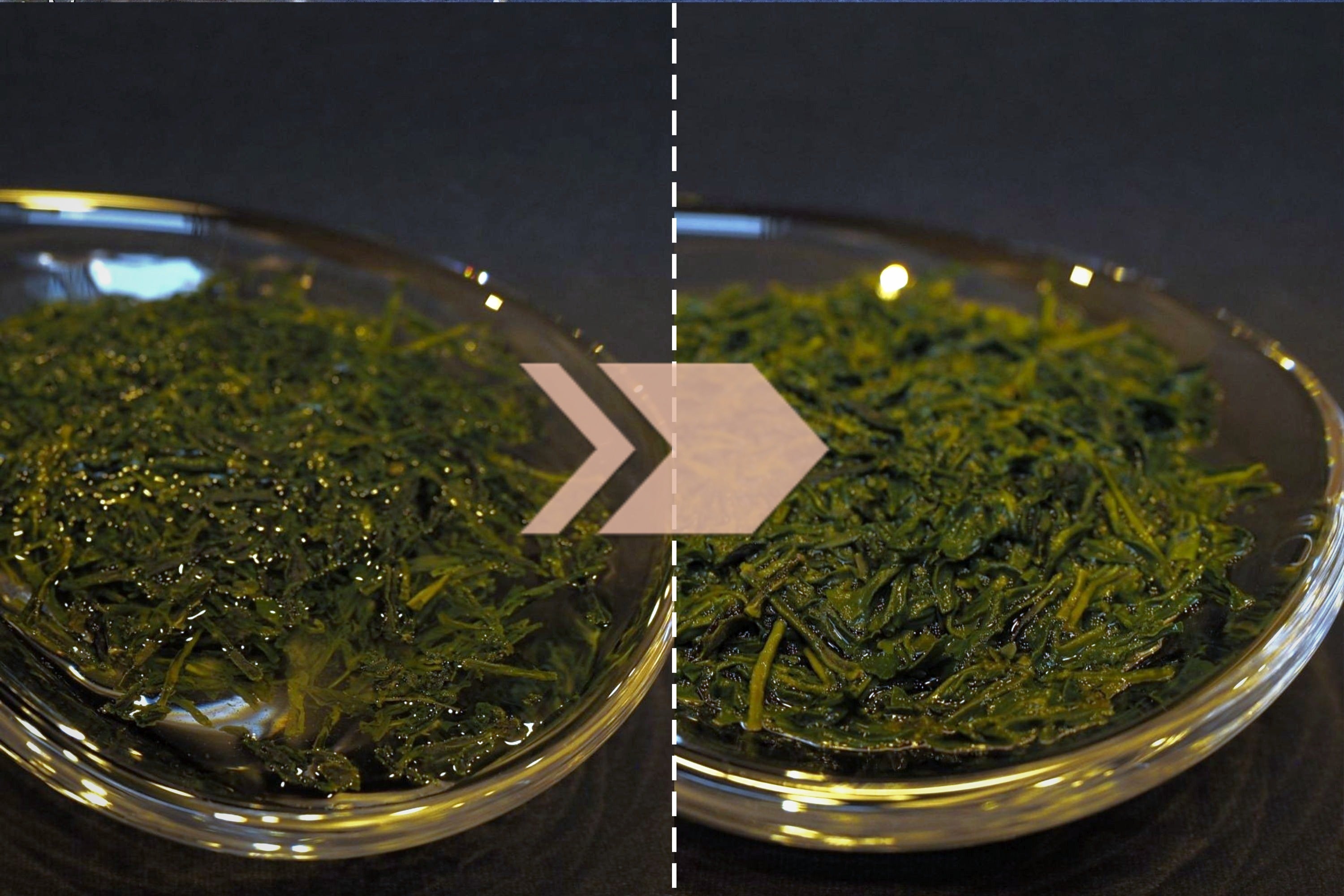 水を吸って茶葉が膨らむ