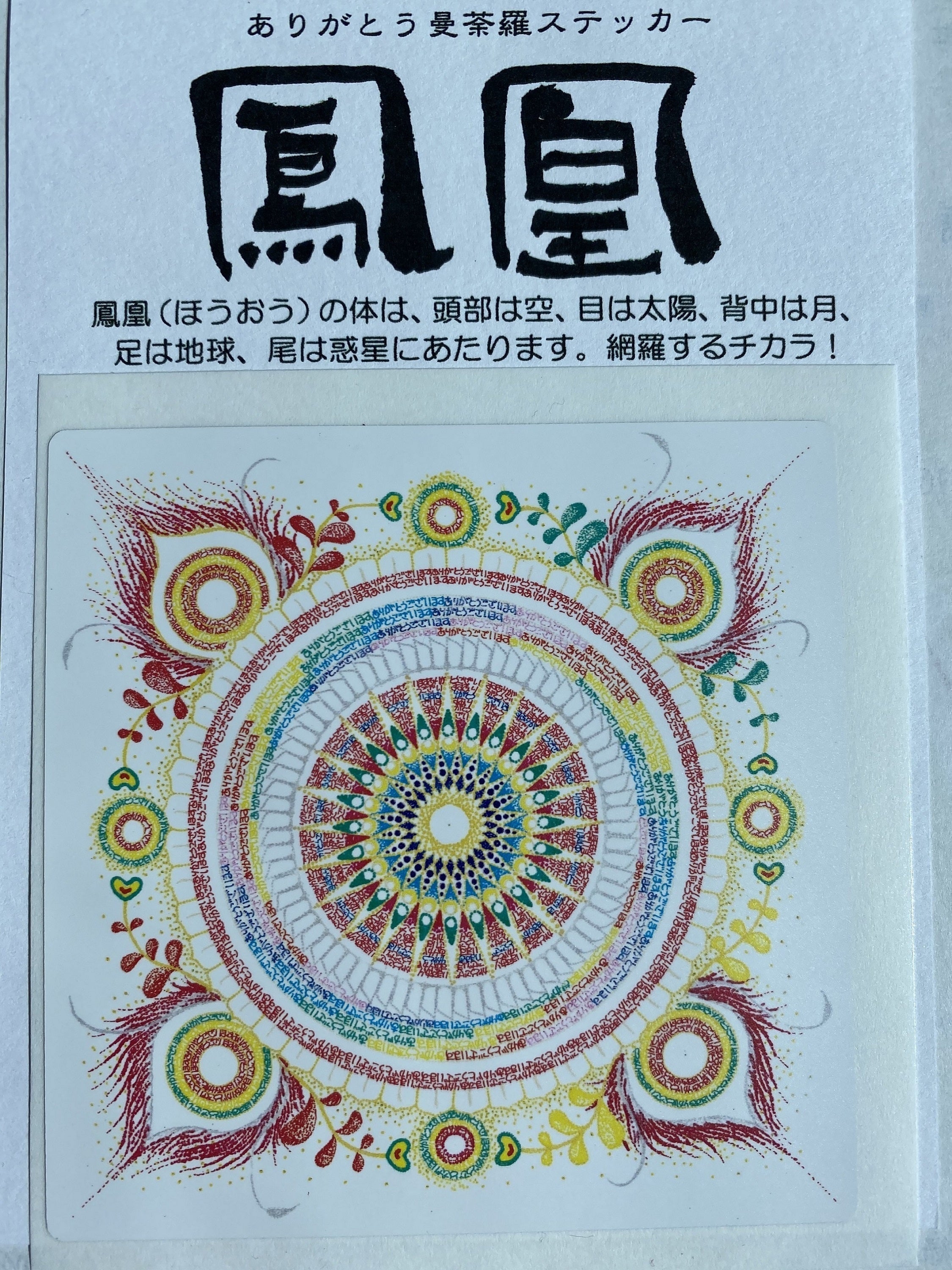 リターン画像