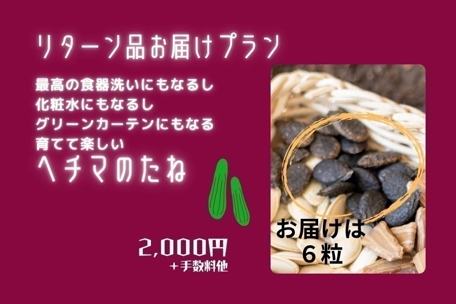 リターン画像