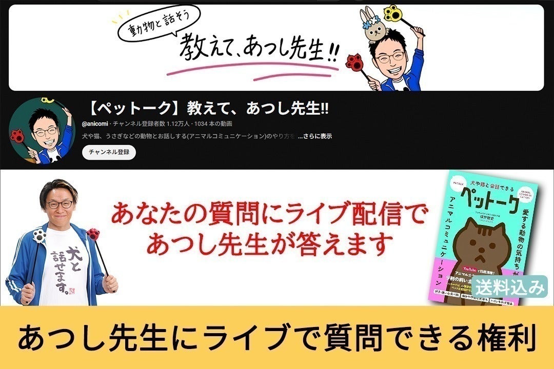 リターン画像