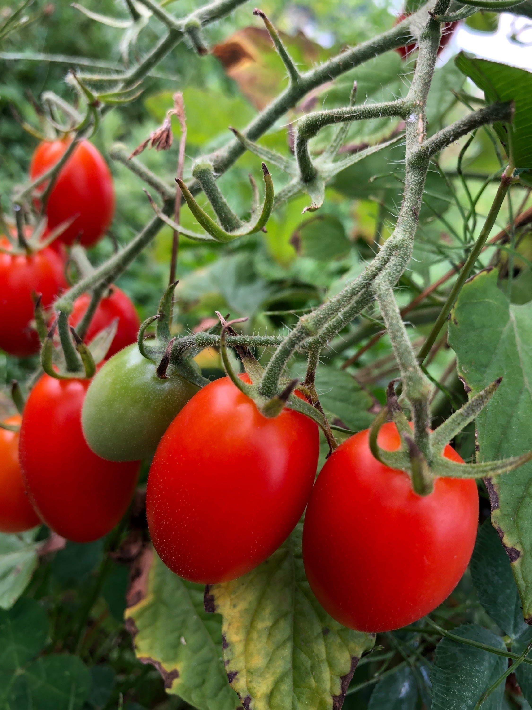 4番目のメイン画像