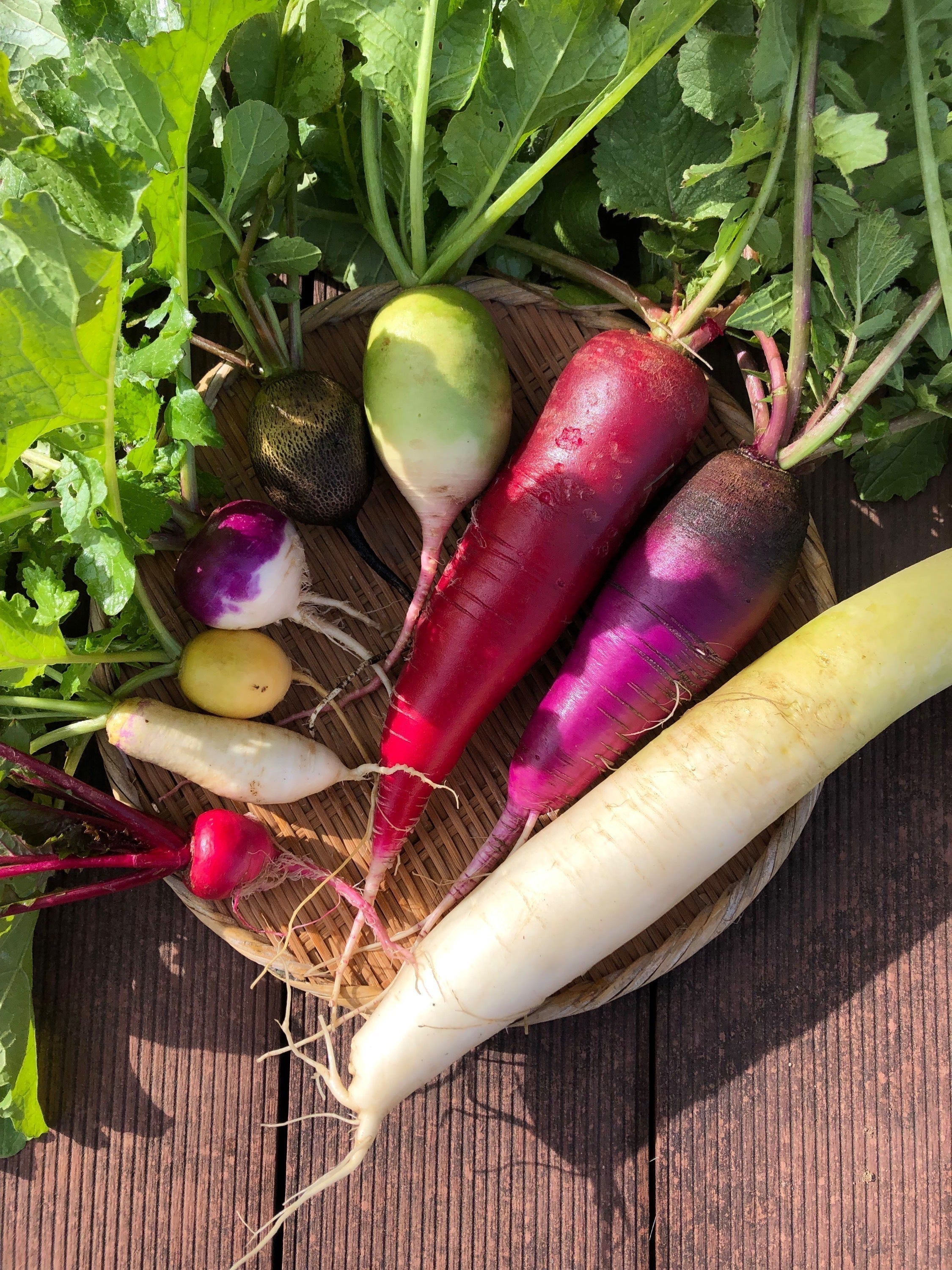 5番目のメイン画像