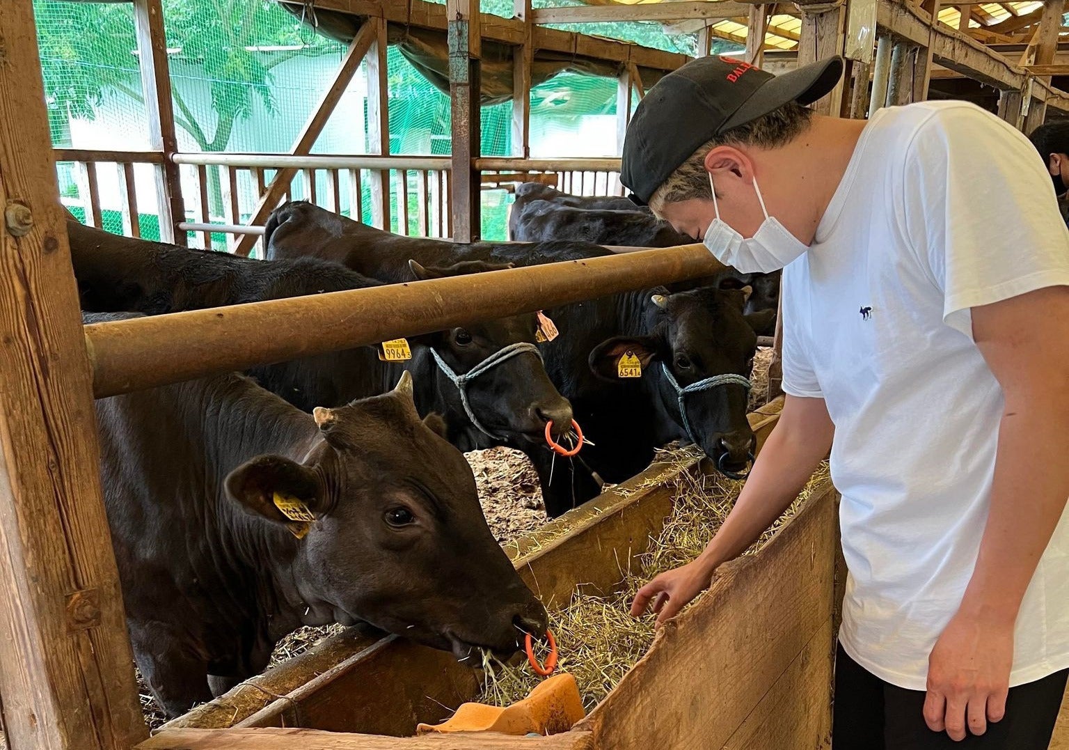 4番目のメイン画像