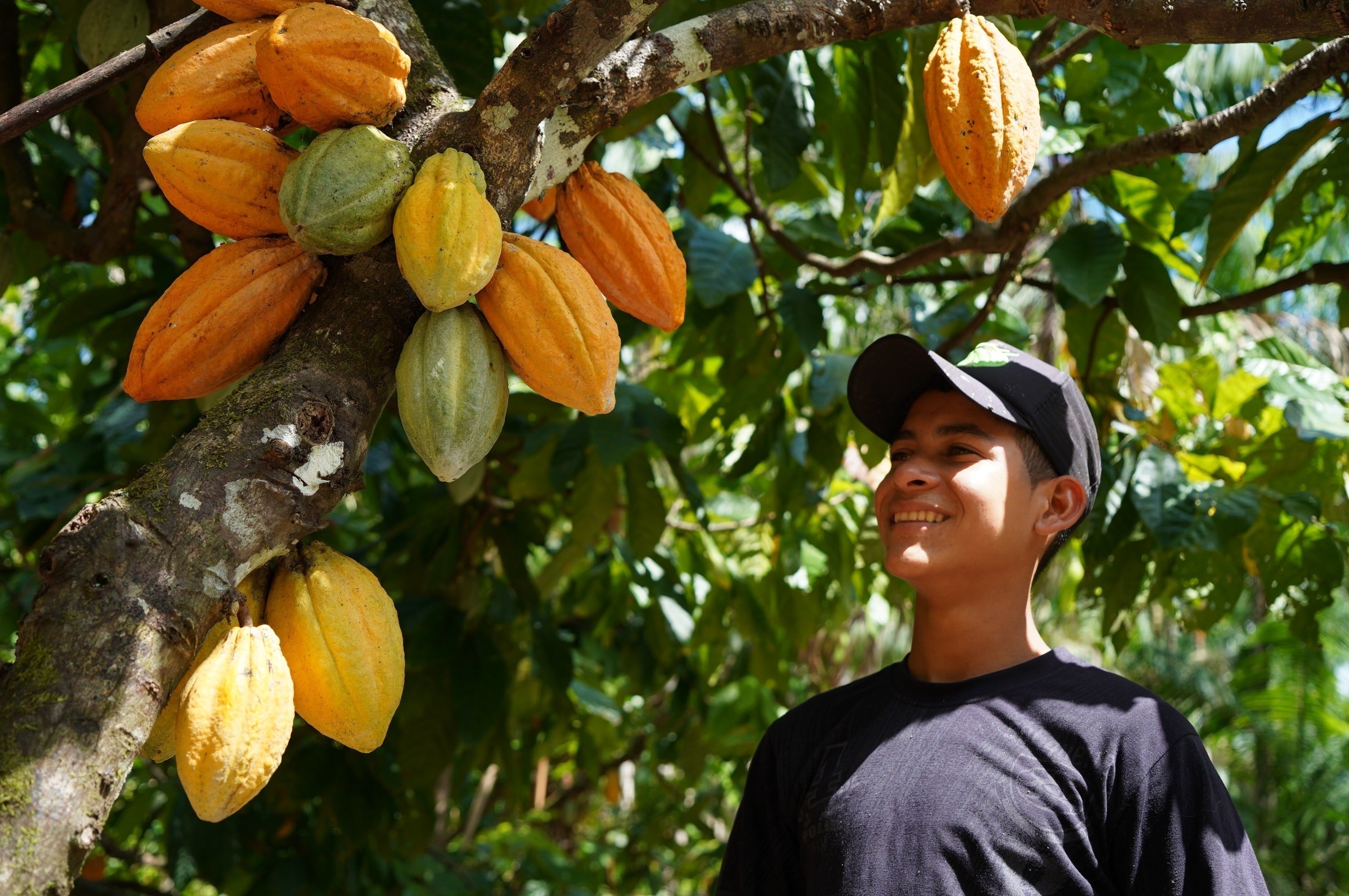 4番目のメイン画像