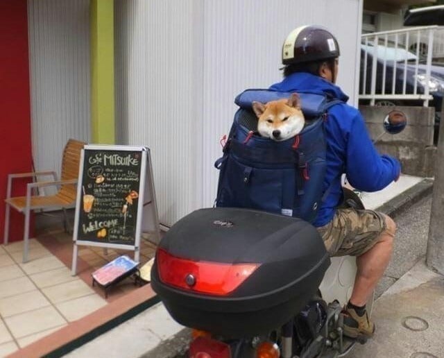 5番目のメイン画像