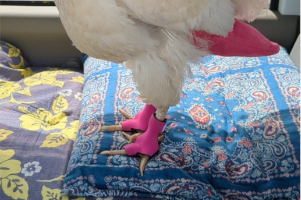 5番目のメイン画像