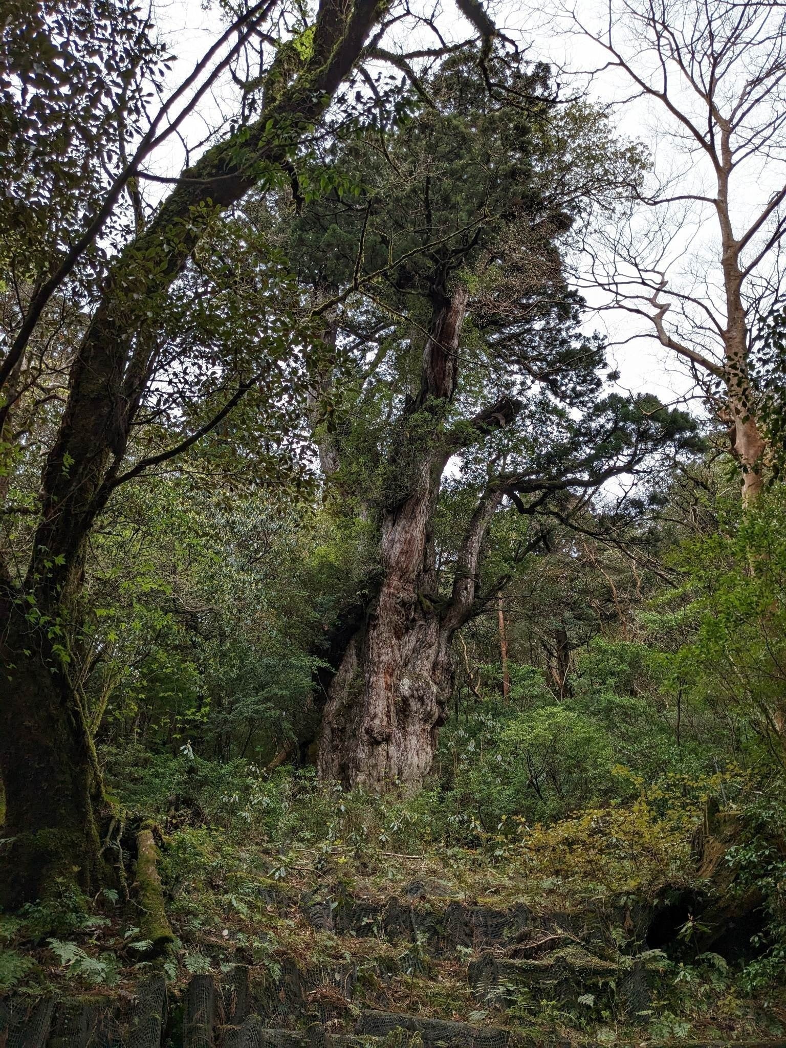 4番目のメイン画像