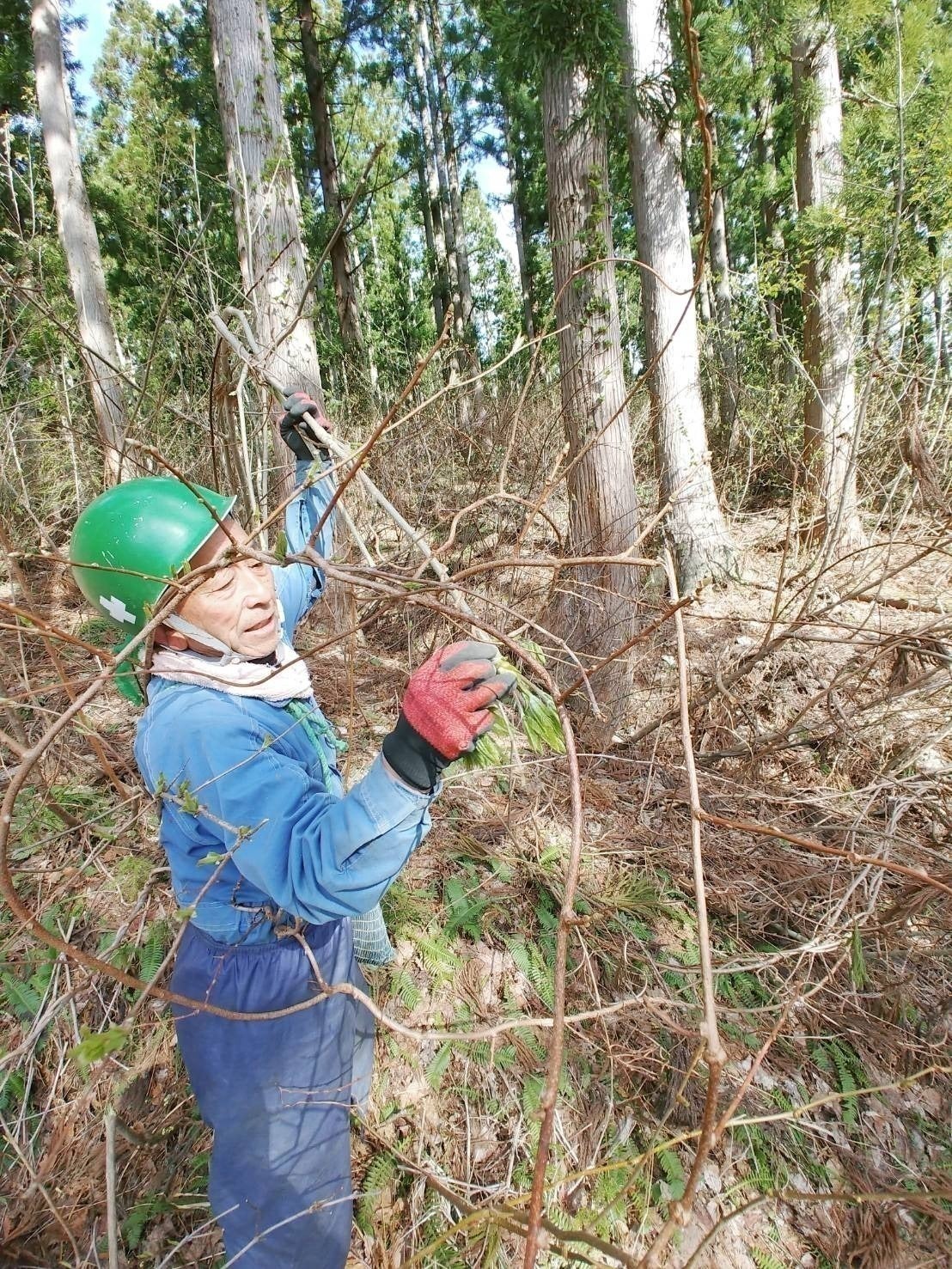 5番目のメイン画像