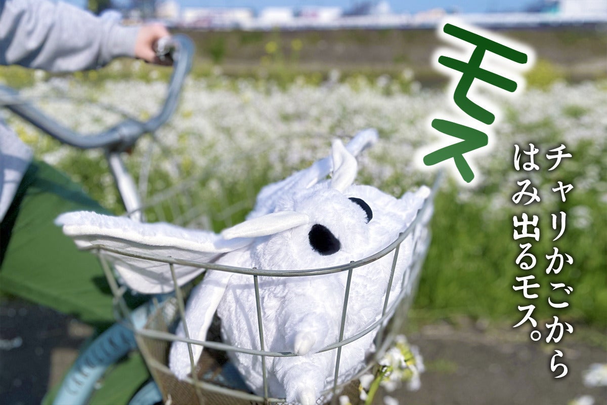 5番目のメイン画像