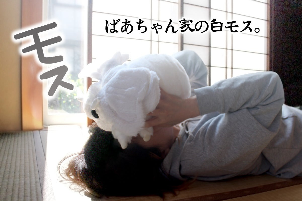 2番目のメイン画像