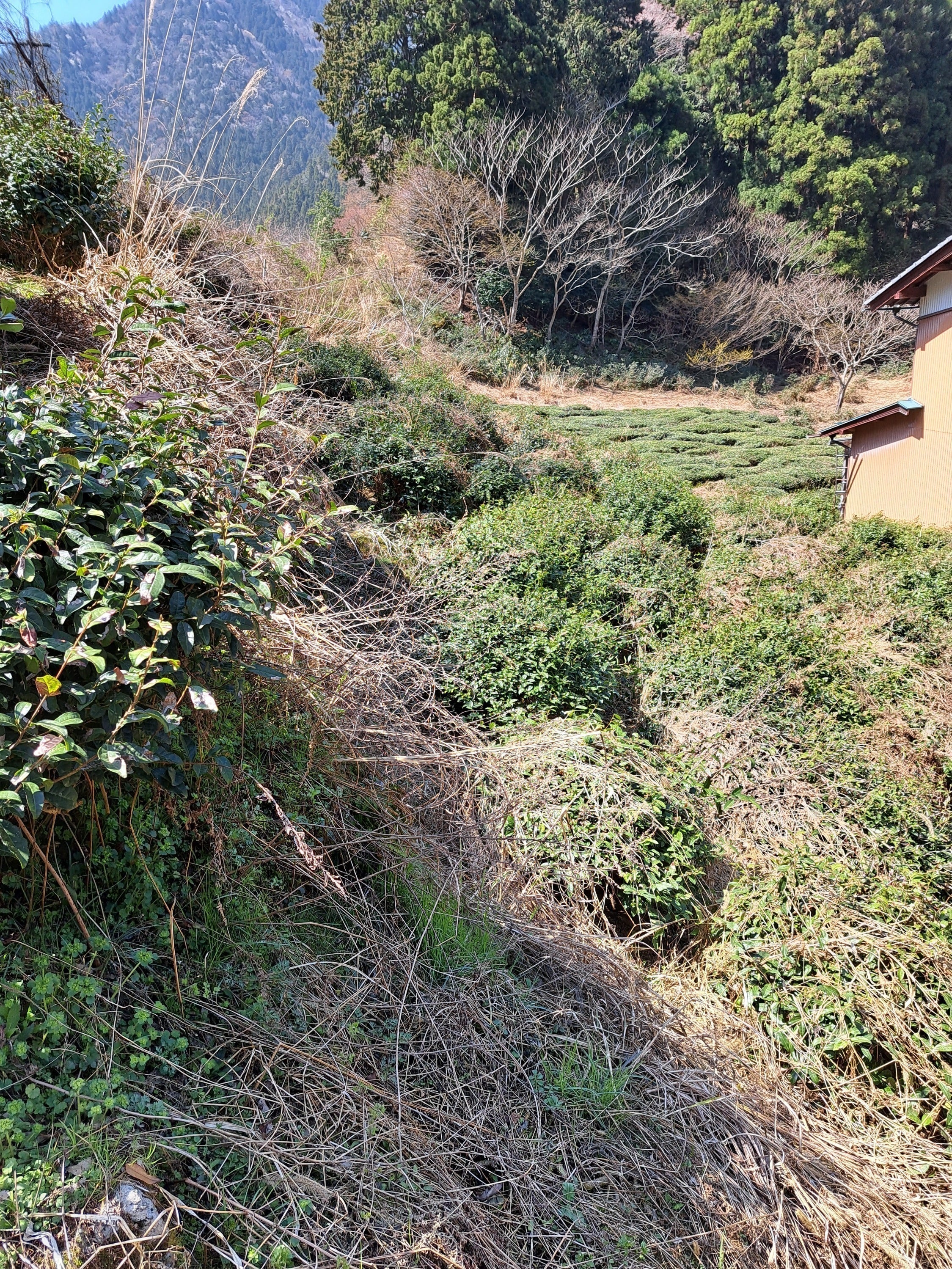 2番目のメイン画像