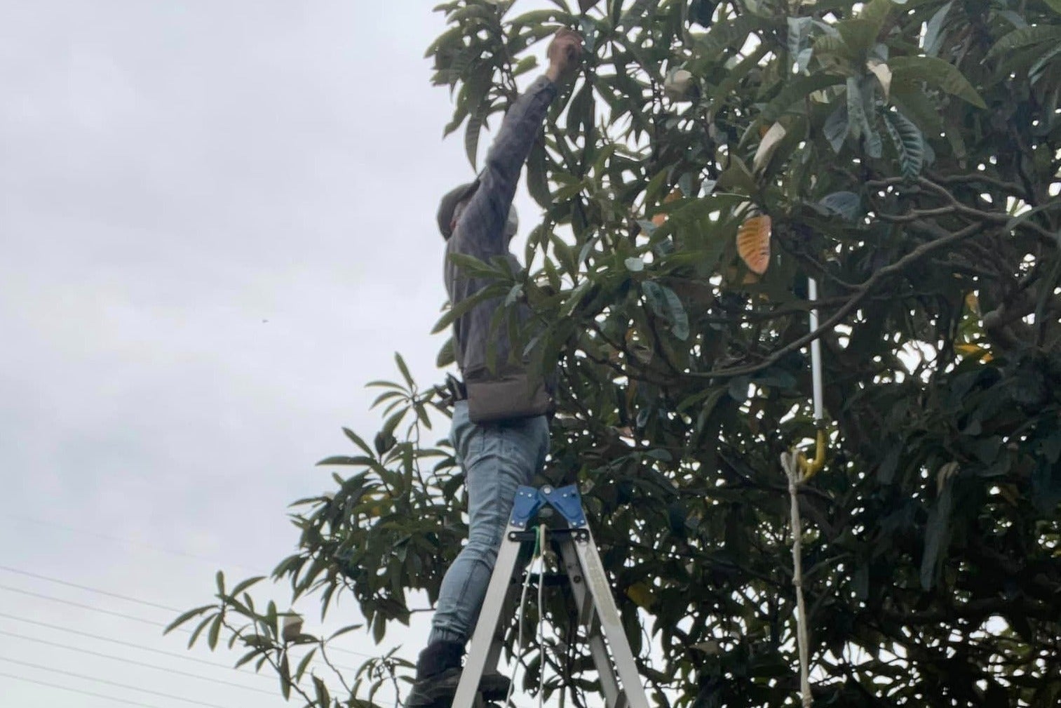 5番目のメイン画像