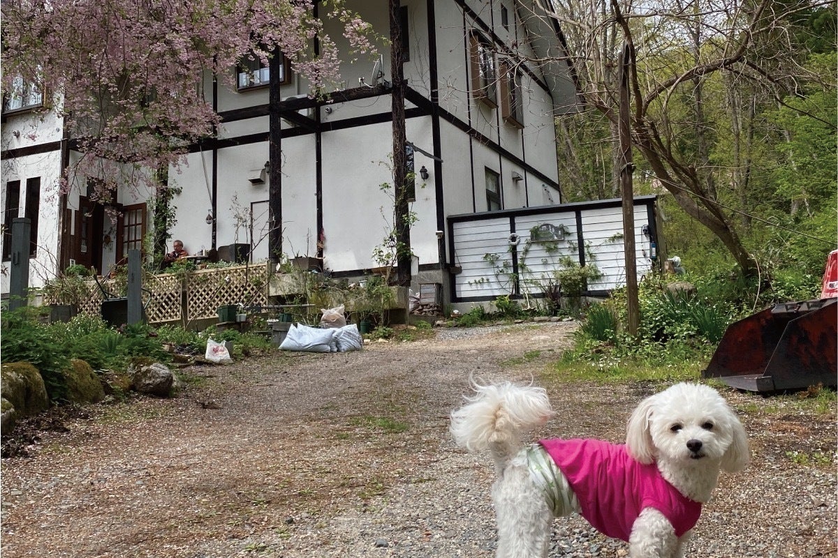 3番目のメイン画像