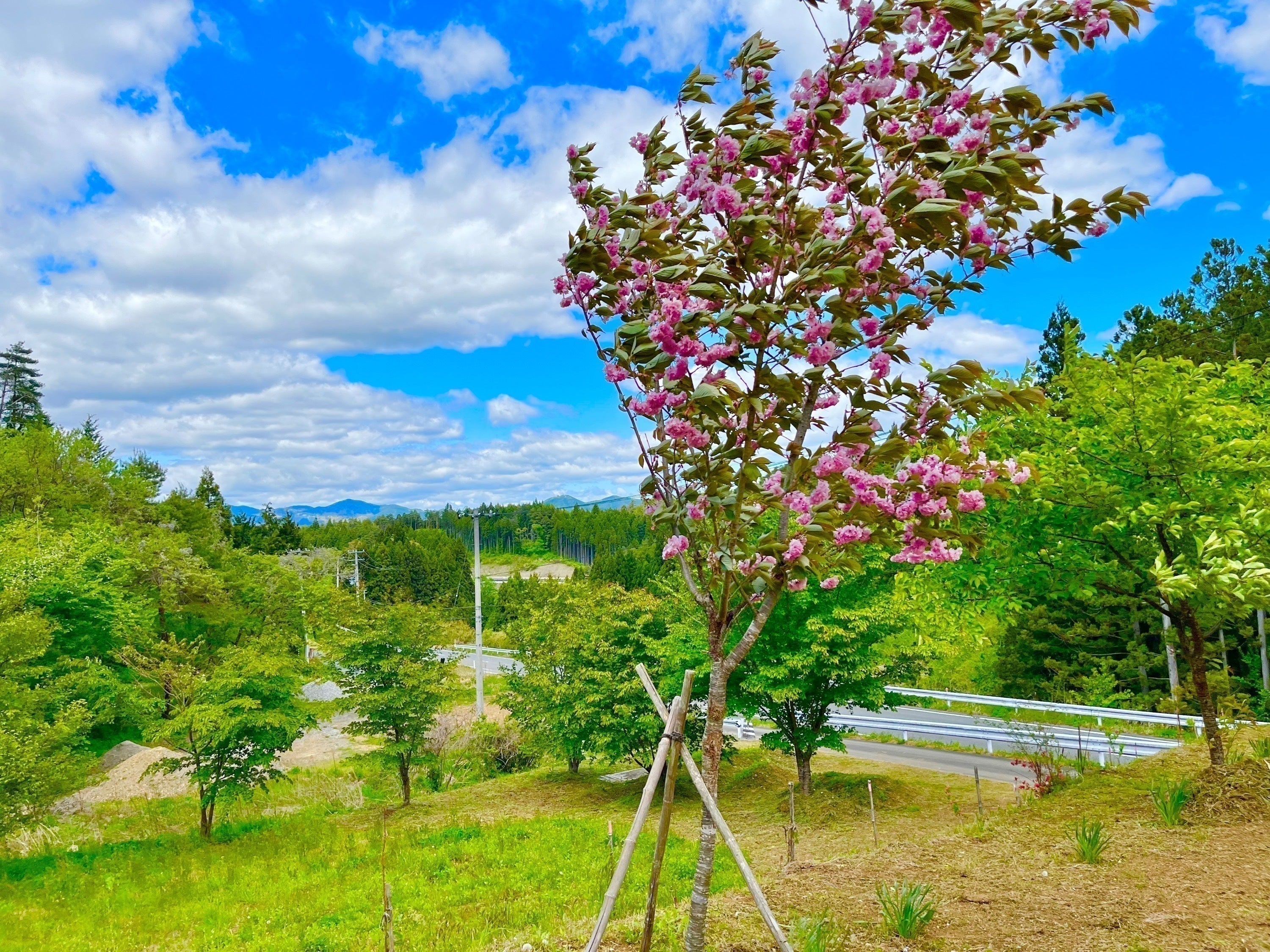 4番目のメイン画像