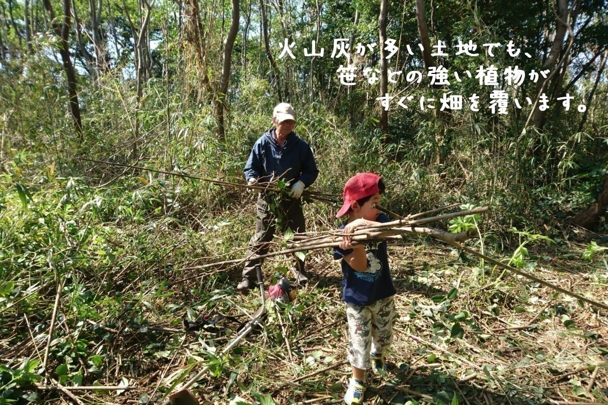 4番目のメイン画像