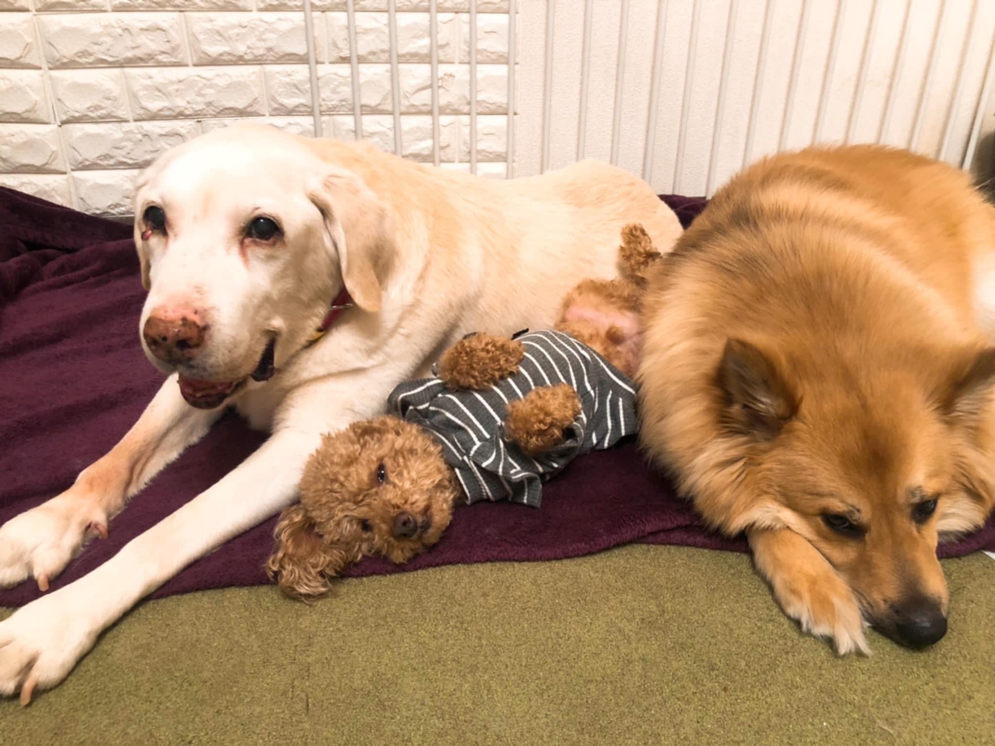 5番目のメイン画像