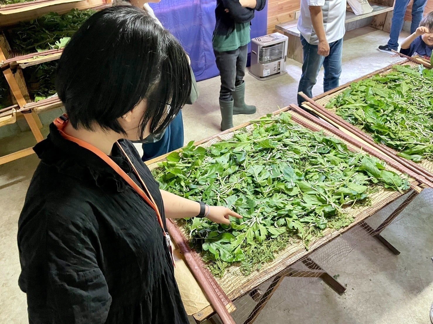 3番目のメイン画像