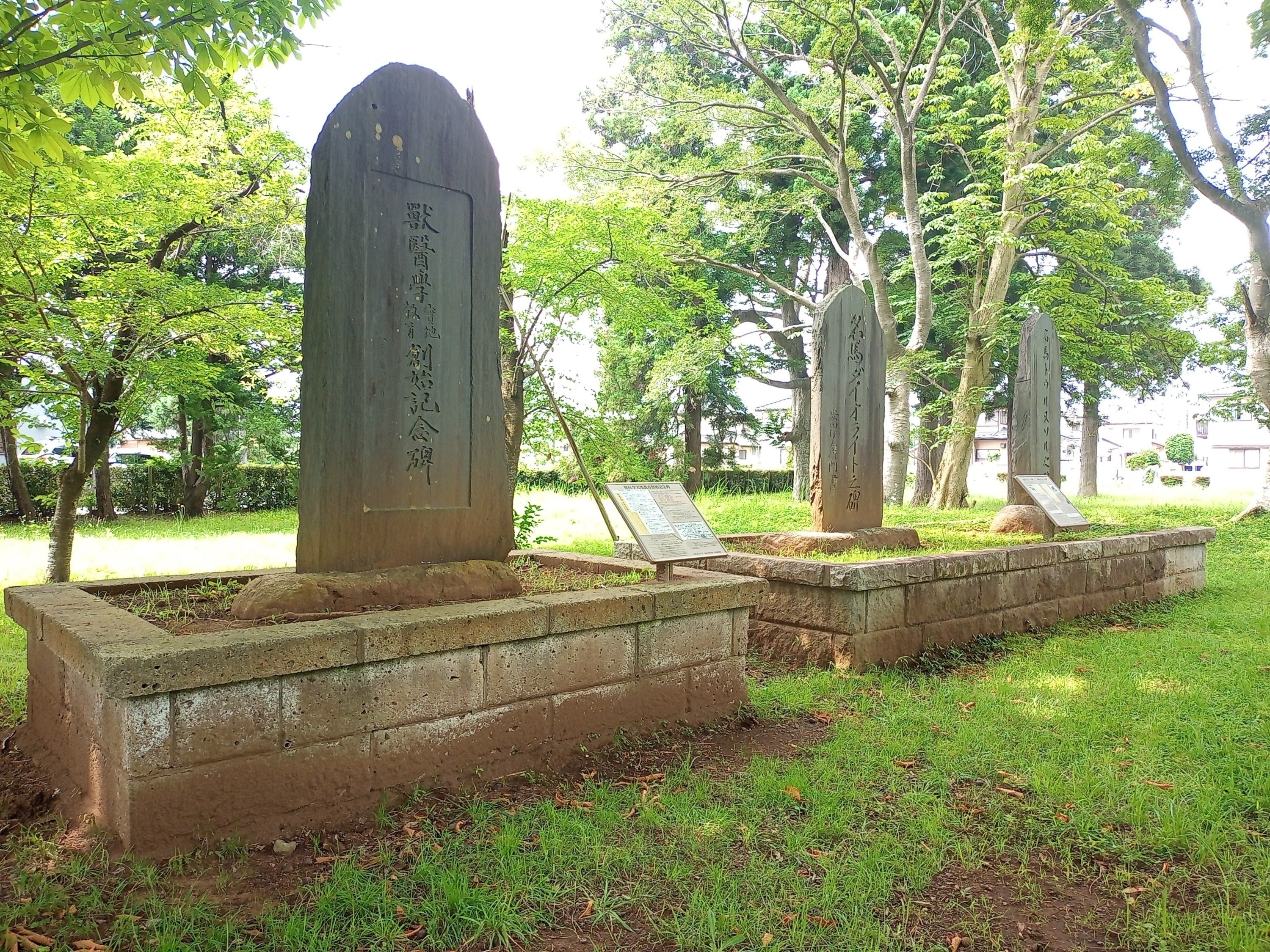 5番目のメイン画像