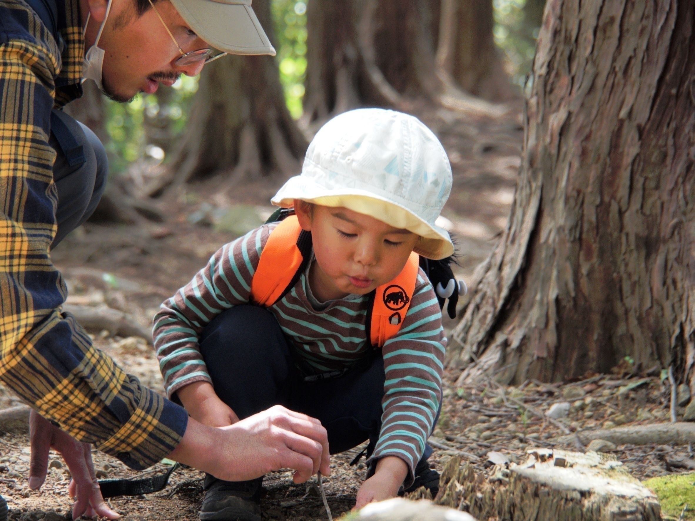3番目のメイン画像