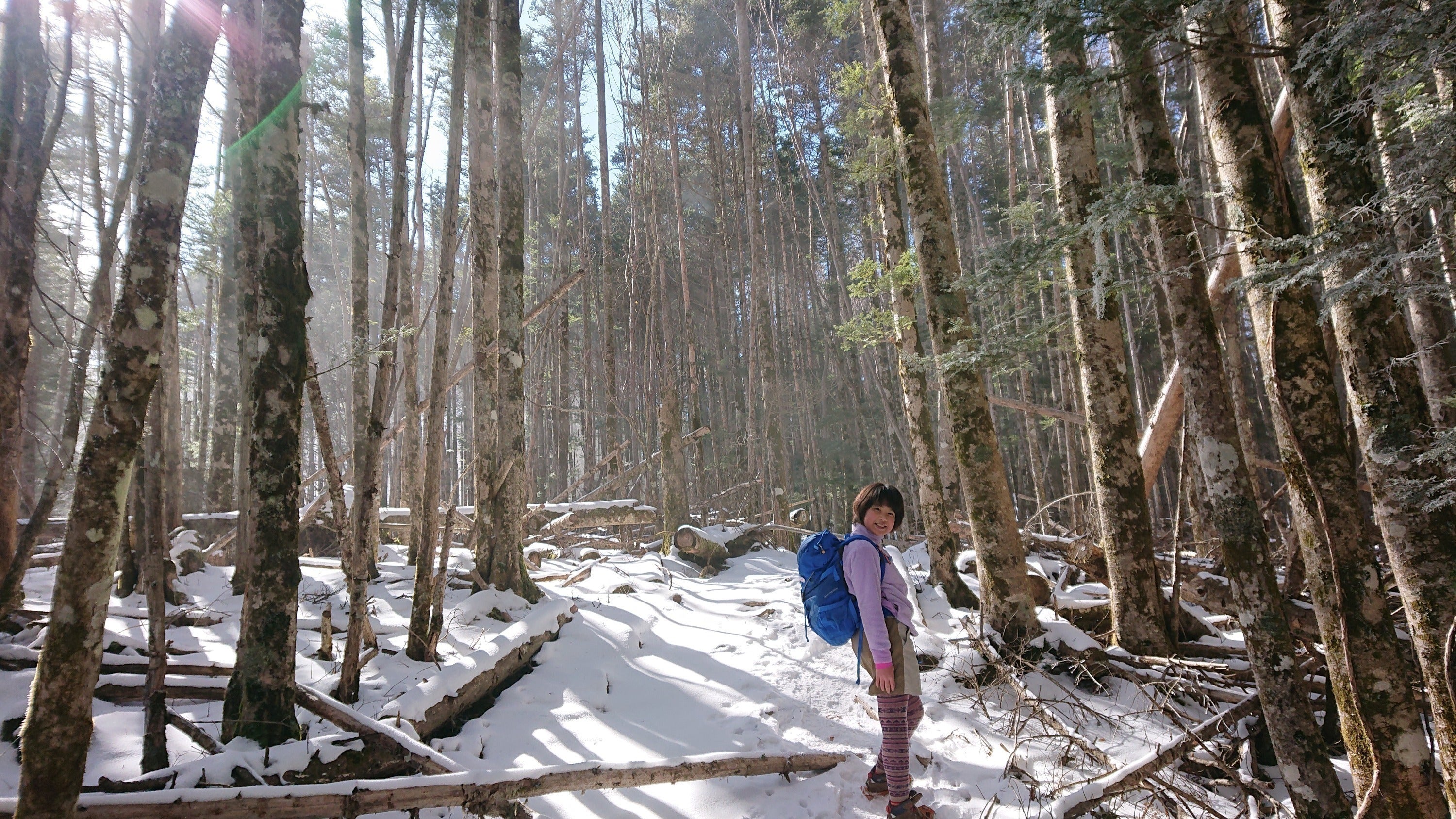 5番目のメイン画像