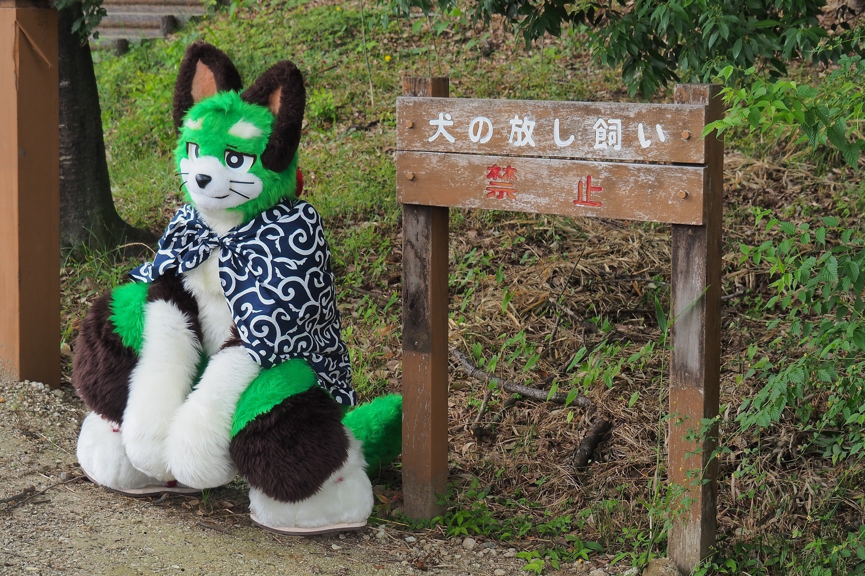 4番目のメイン画像