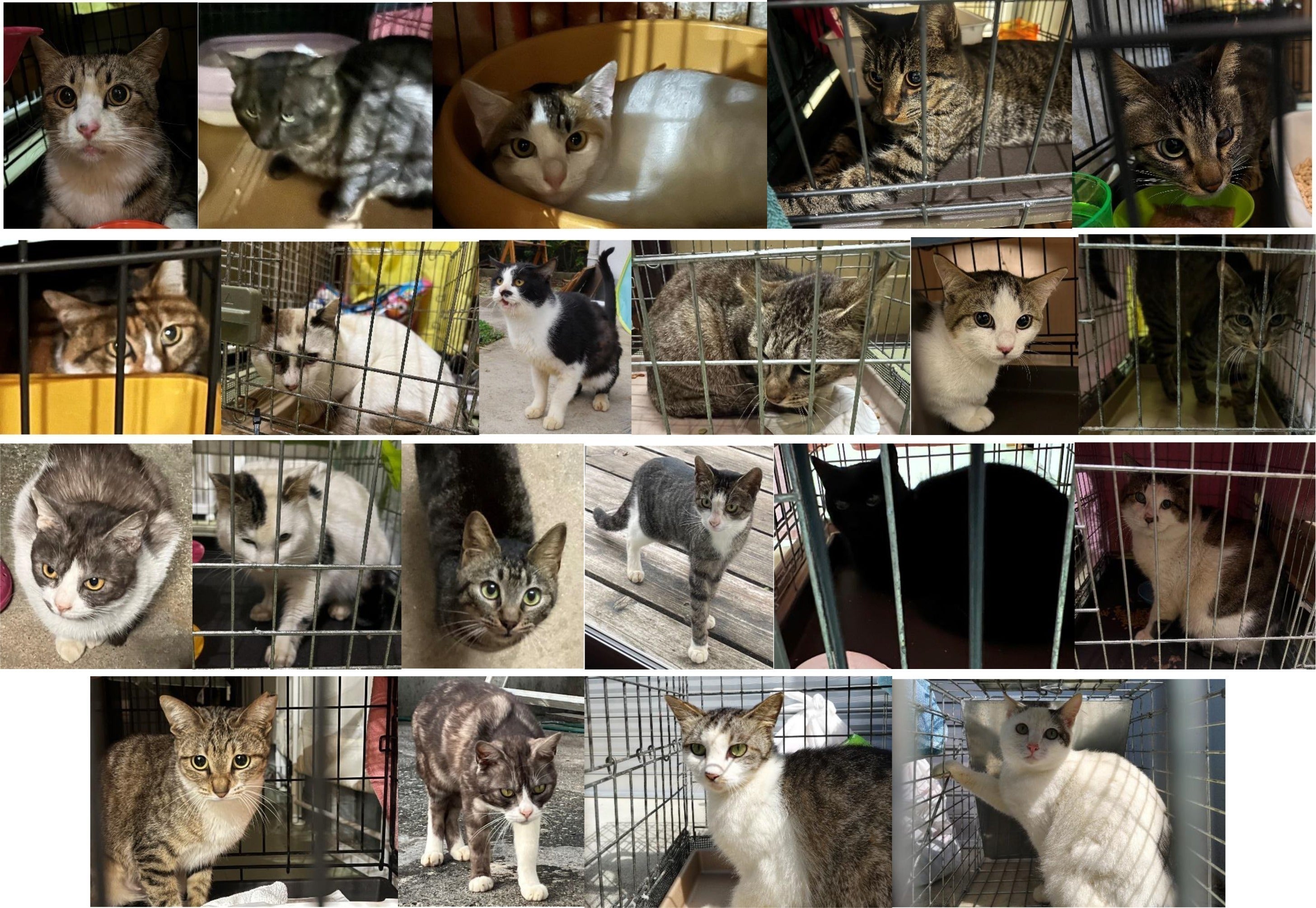 5番目のメイン画像