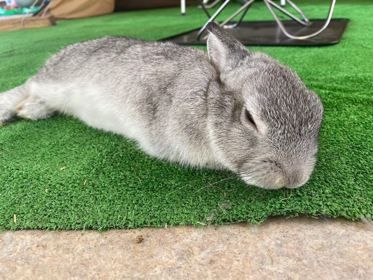 4番目のメイン画像