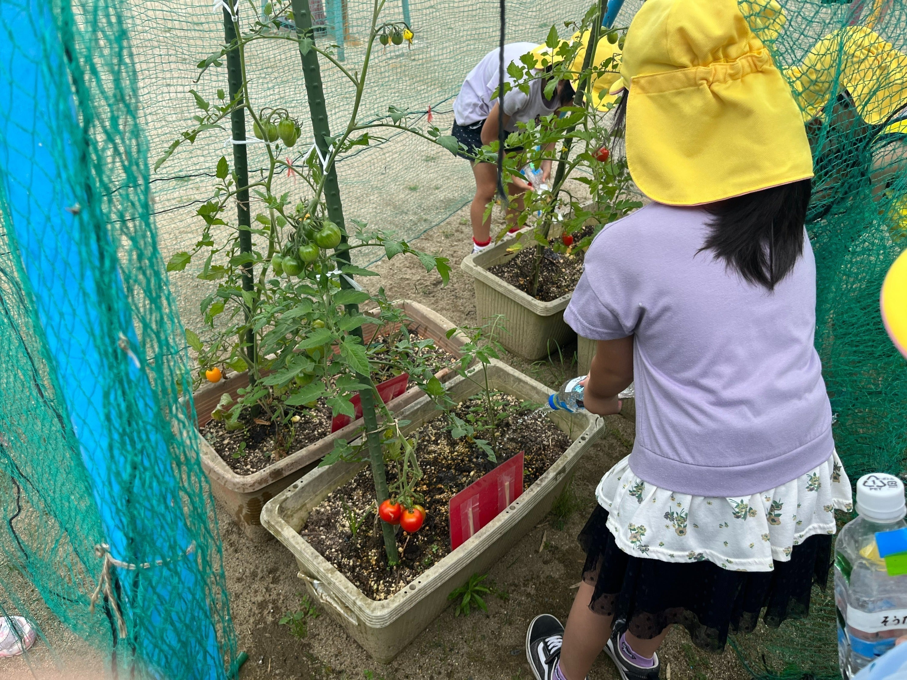 5番目のメイン画像