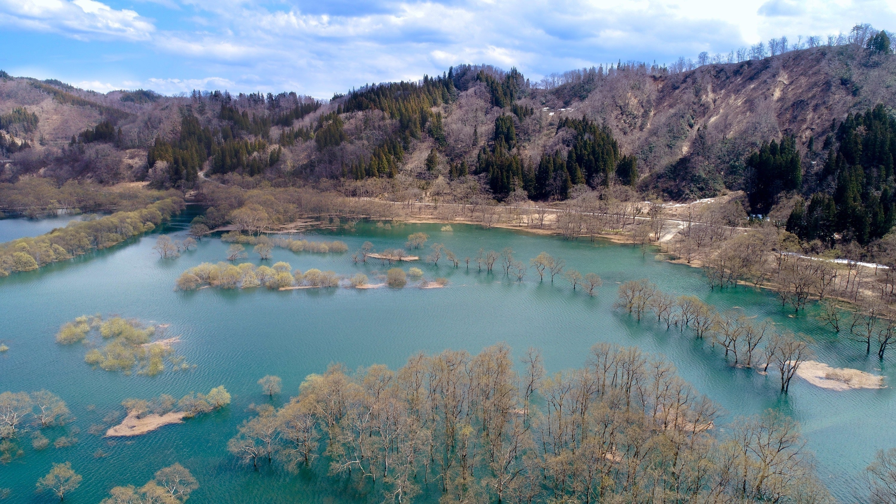 2番目のメイン画像