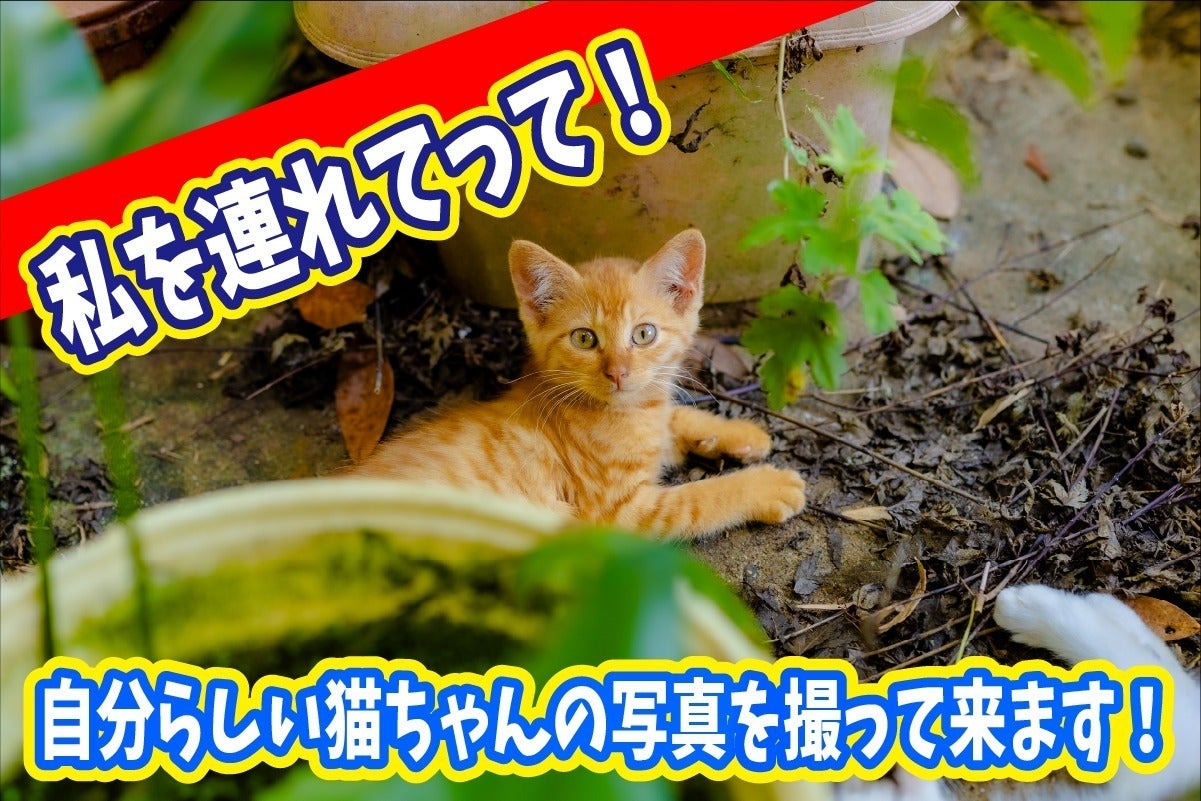 5番目のメイン画像