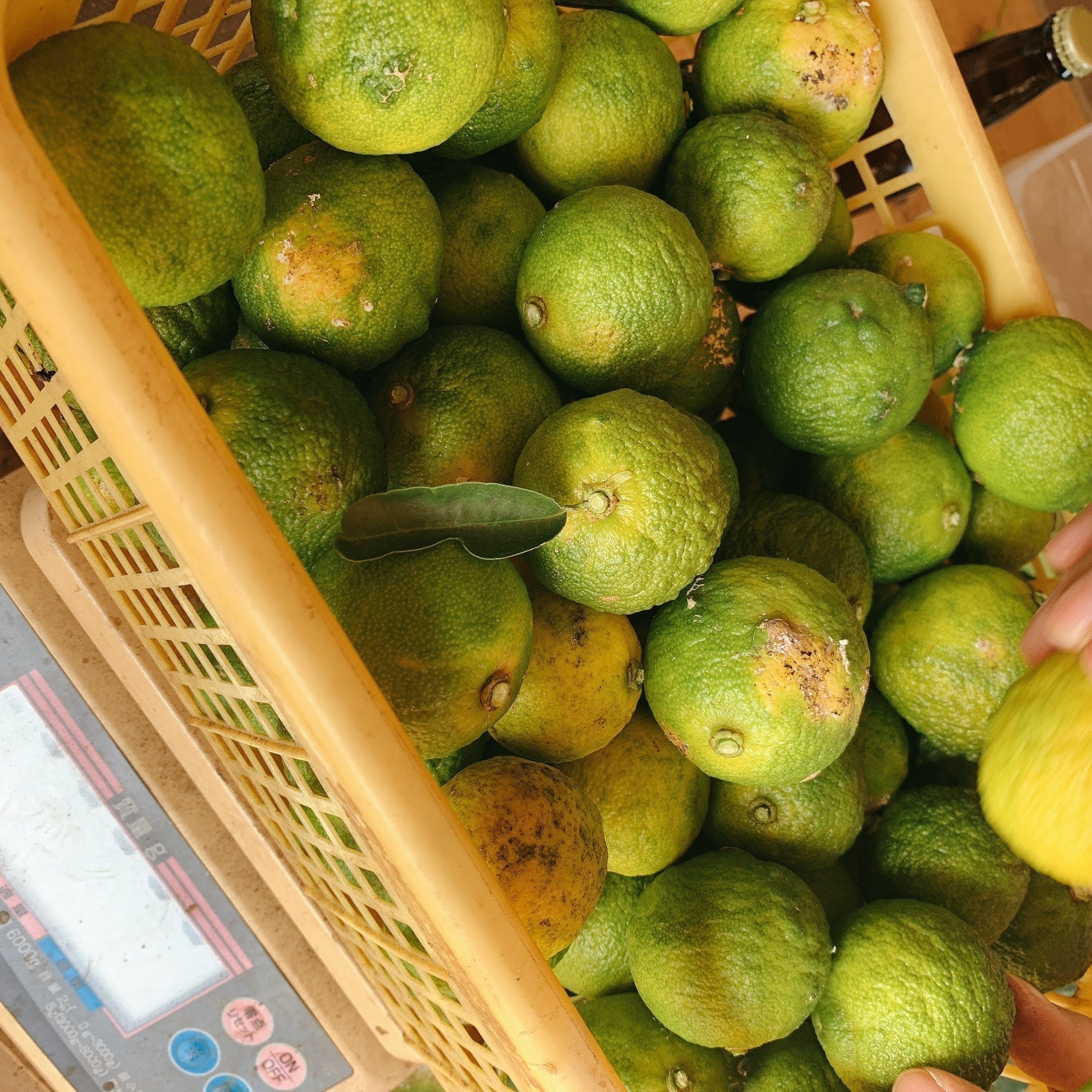 4番目のメイン画像