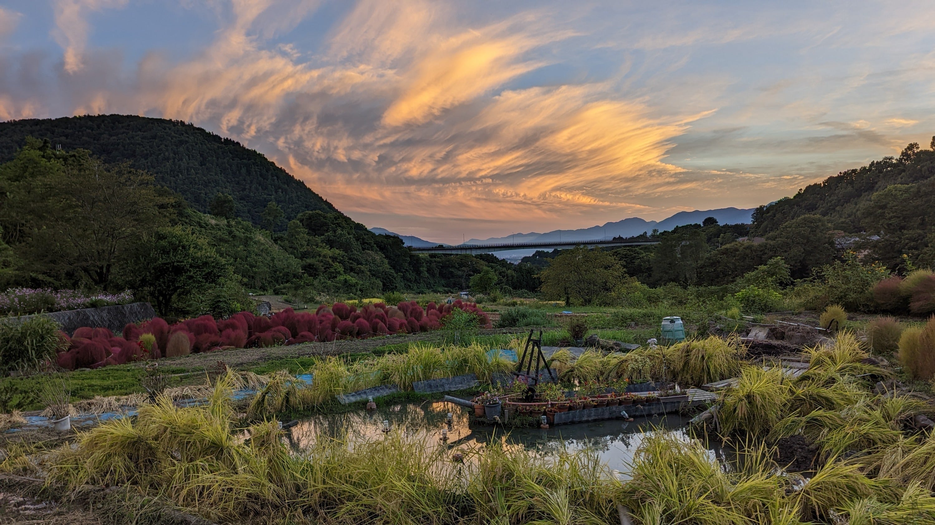 4番目のメイン画像