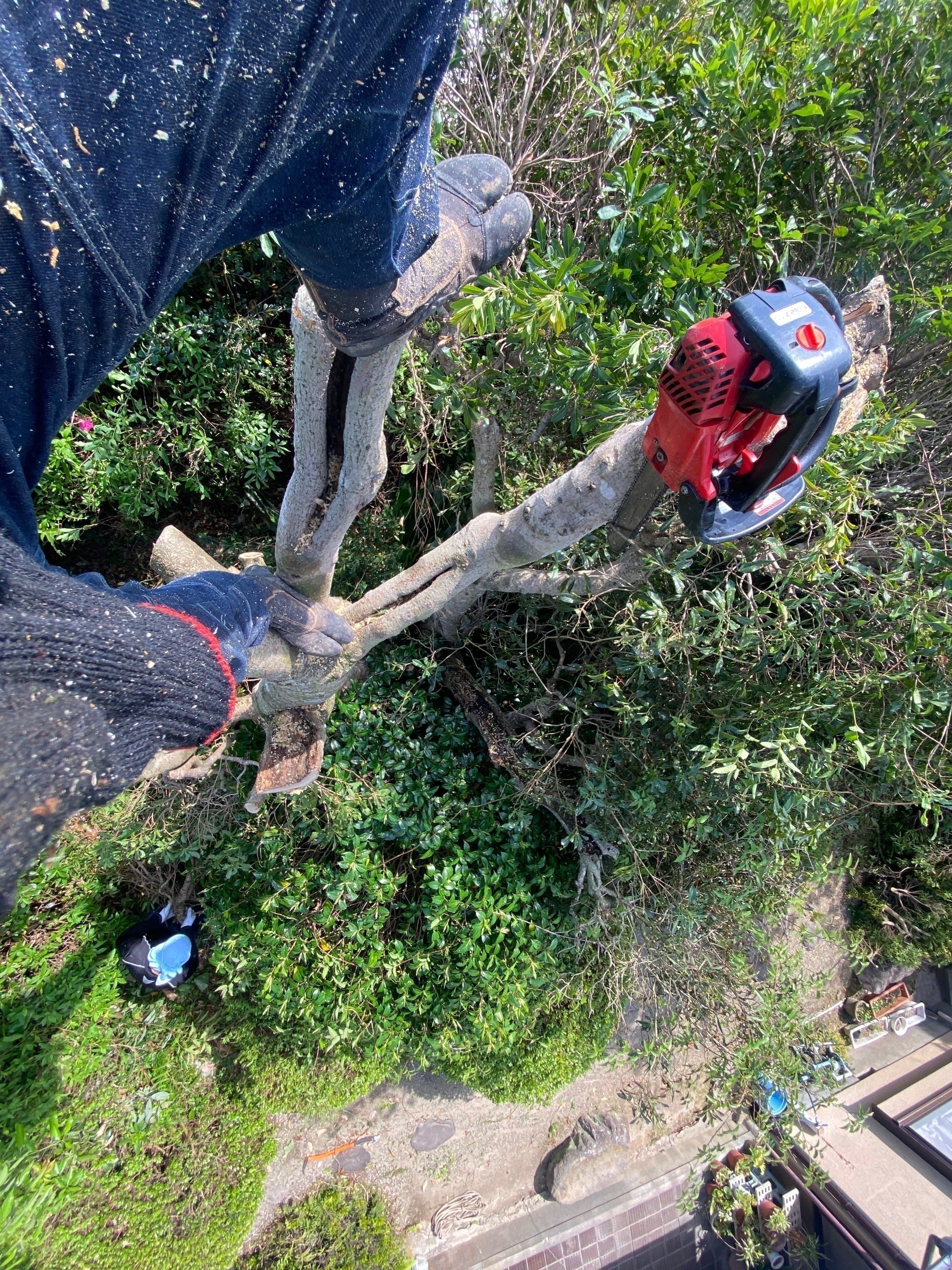 5番目のメイン画像