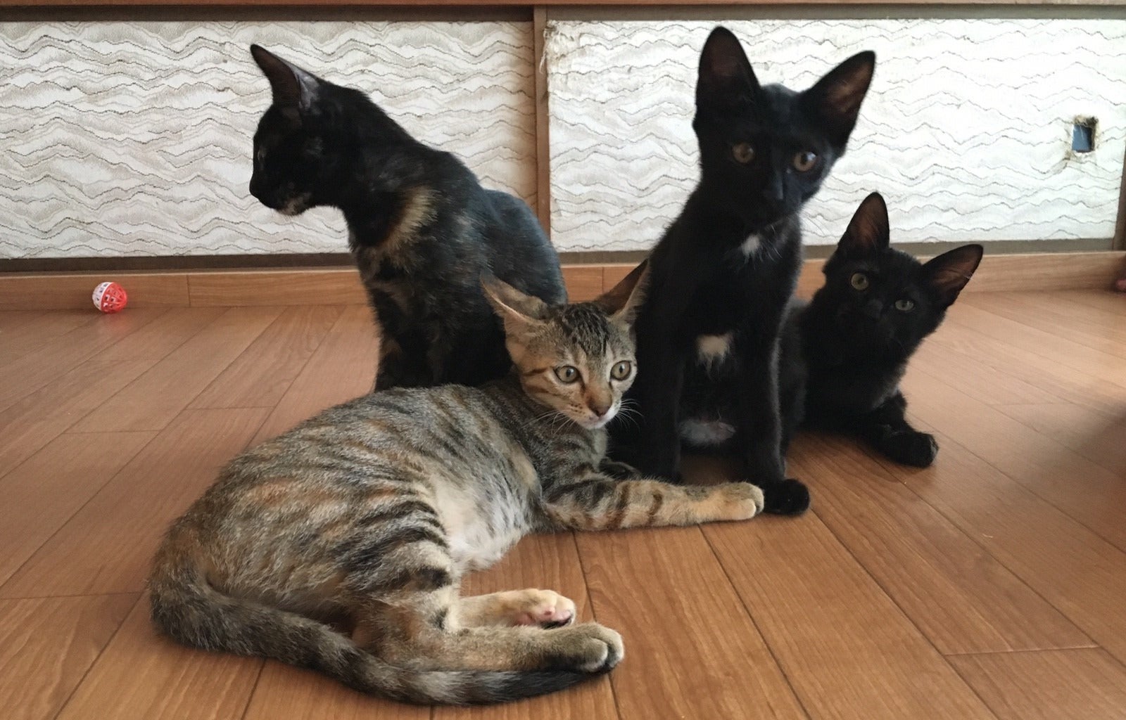 4番目のメイン画像