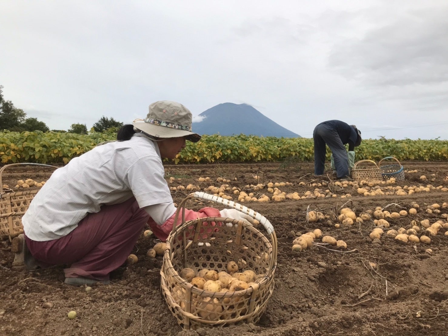 3番目のメイン画像