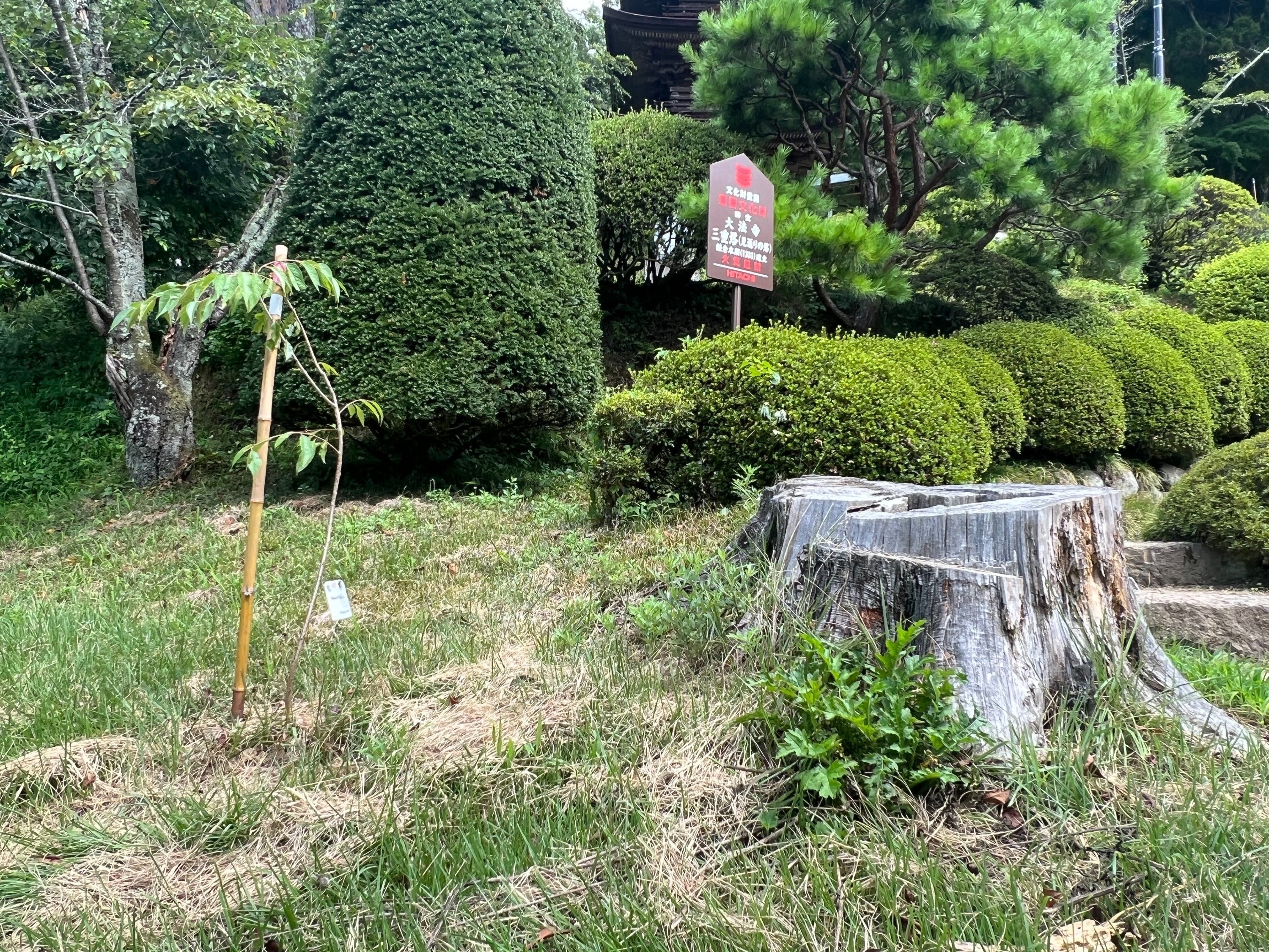 4番目のメイン画像