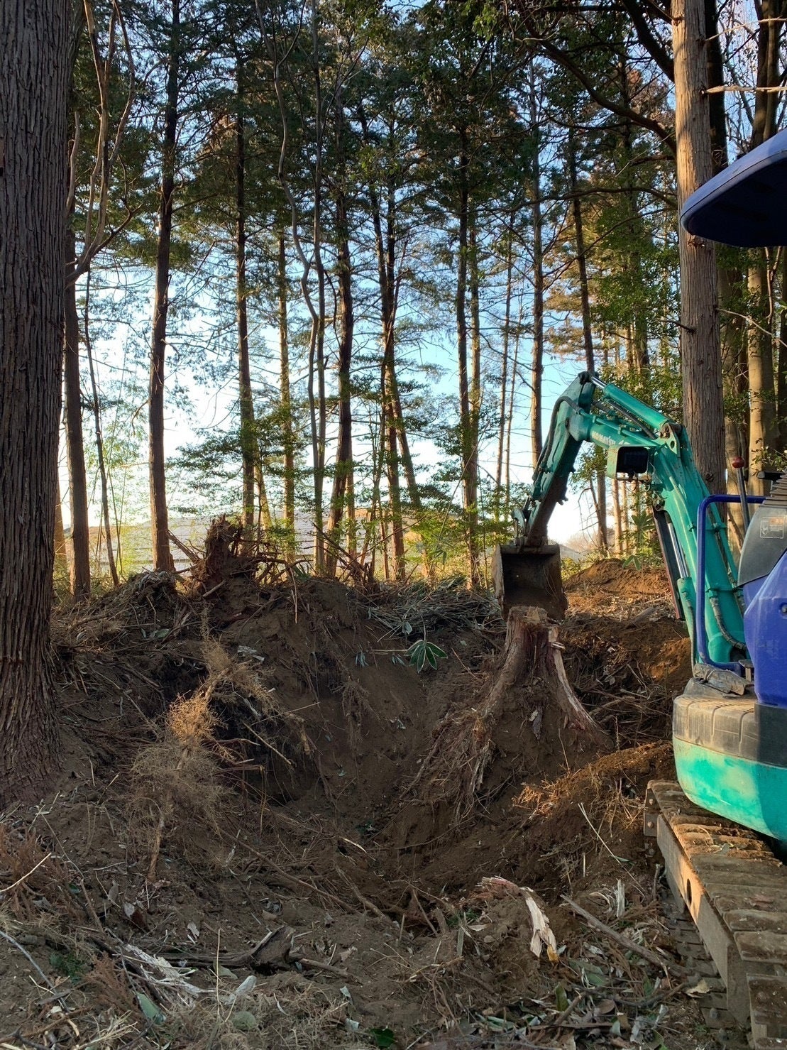 3番目のメイン画像