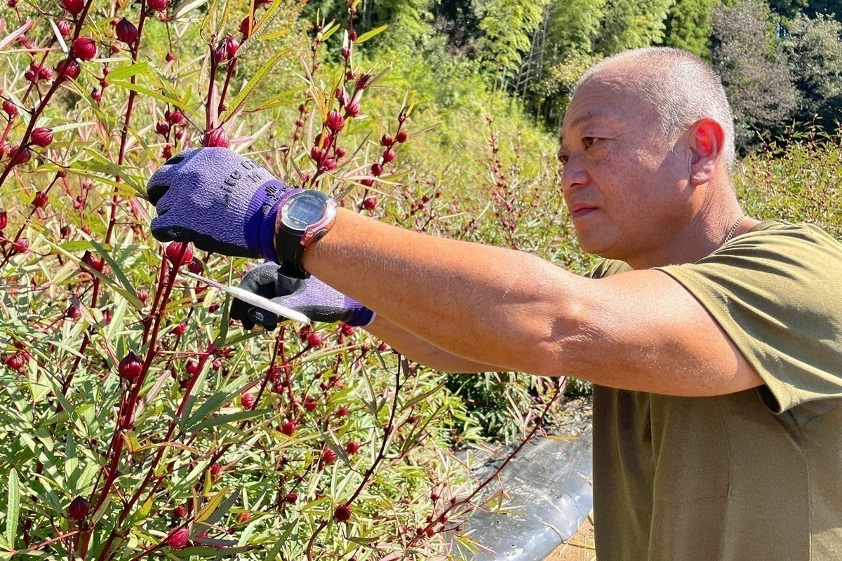 4番目のメイン画像