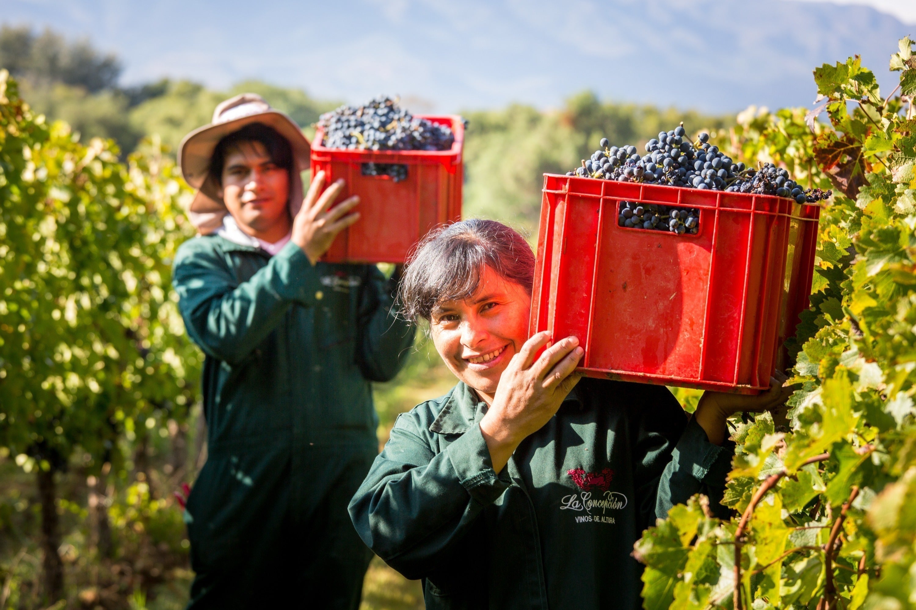 4番目のメイン画像