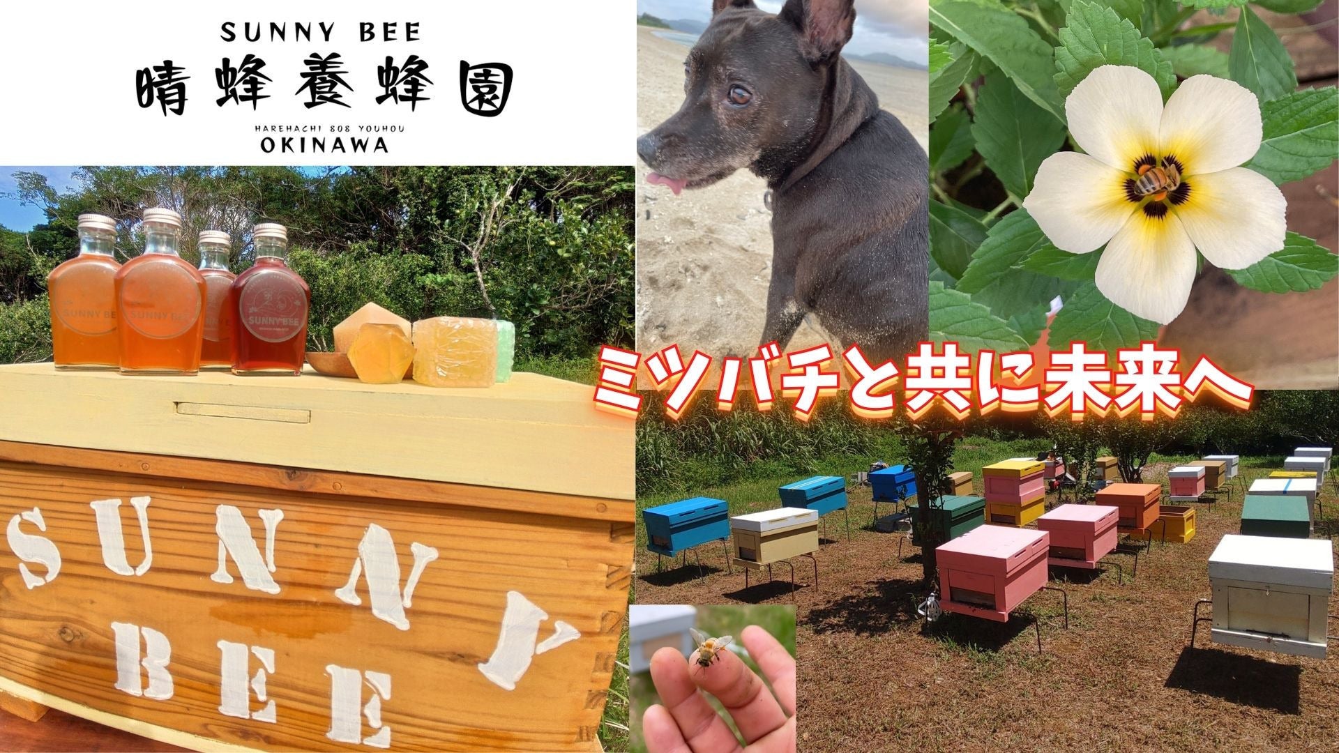 5番目のメイン画像