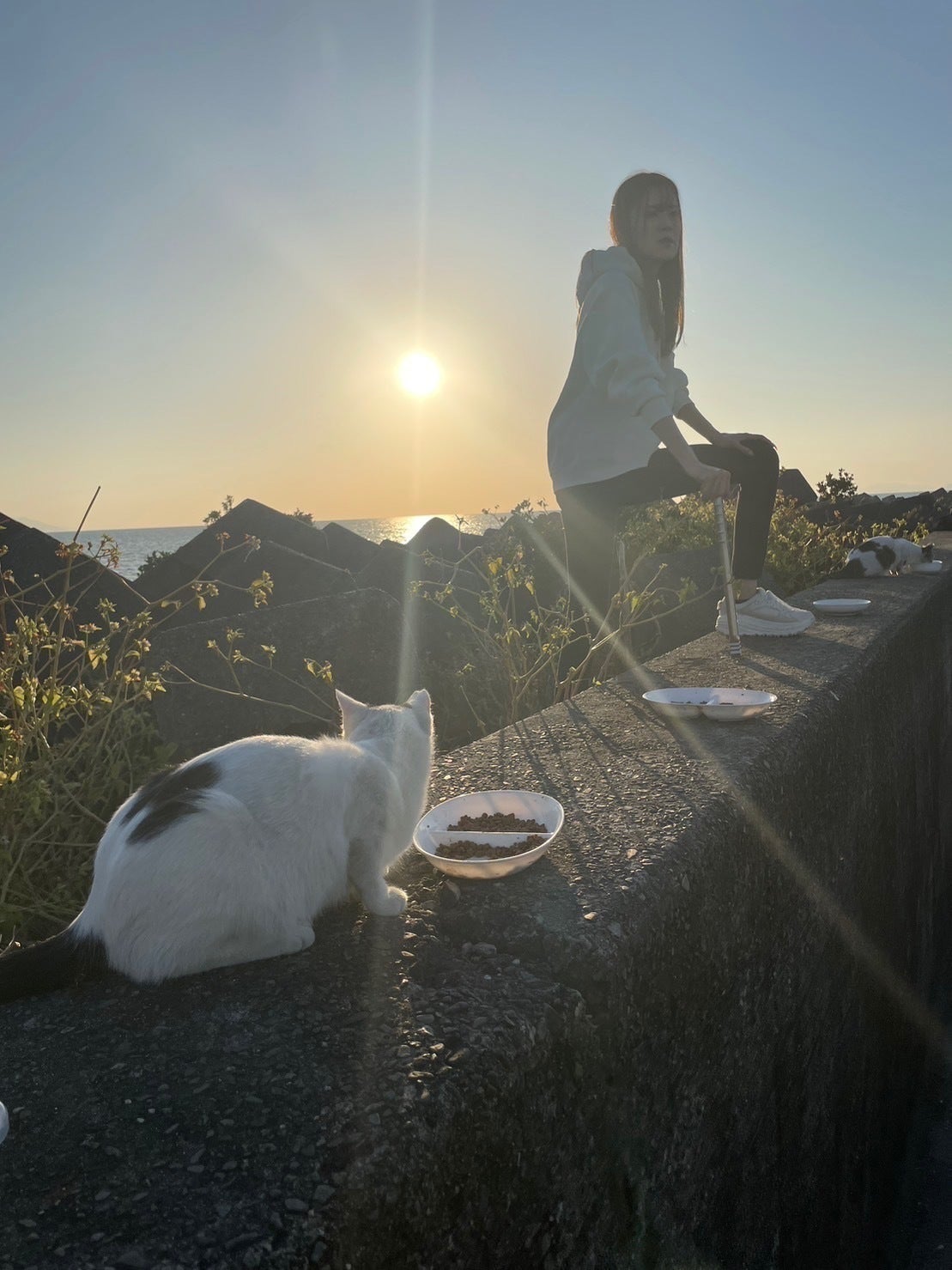 3番目のメイン画像