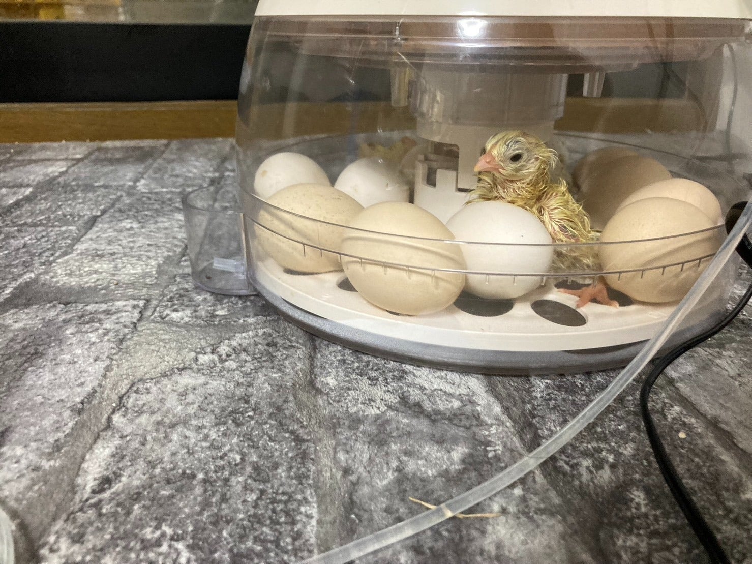 4番目のメイン画像