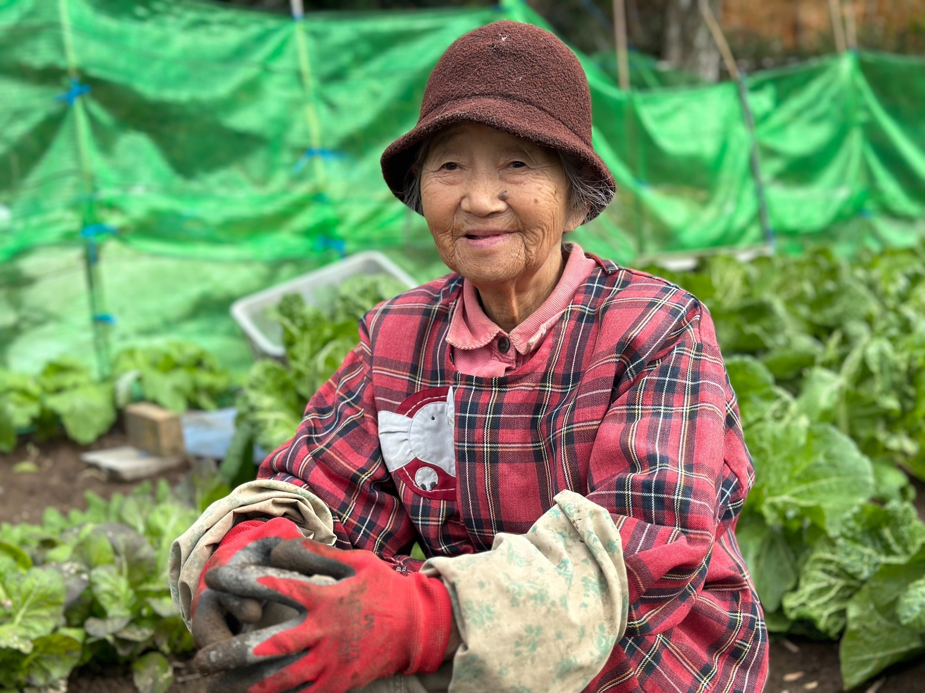 5番目のメイン画像